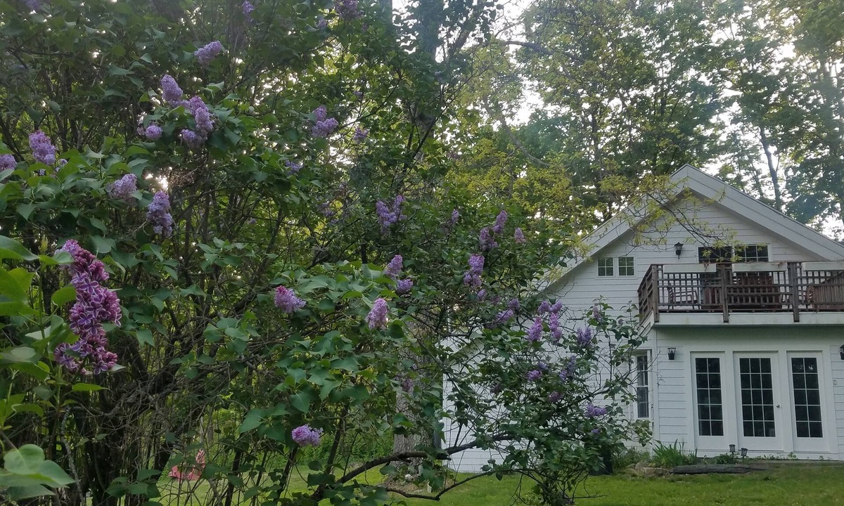 Hillsdale Ski Chalet | Heart of Historic Hillsdale, NY, charming carriage house, Swiss Chalet-style
