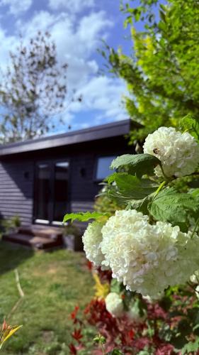 Andover Bed & Breakfast | Heath Vale Stay