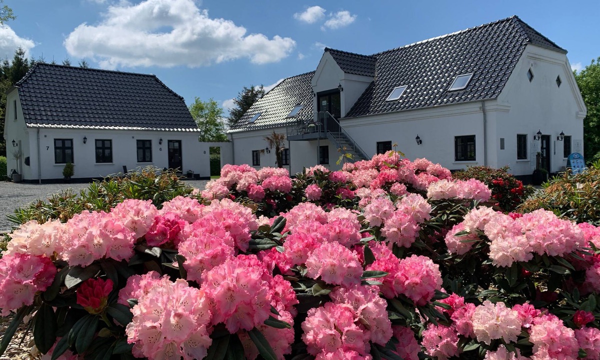 Engesvang Bed & Breakfast | Hedegaarden