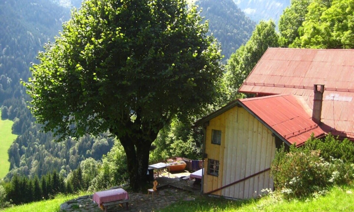Rossiniere Apartment | Heidi Chalet Alps - Unique Experience - Authentic Part
