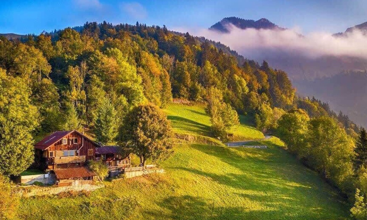 Rossiniere Apartment | Heidi Chalet - Panoramic View - Modern Part