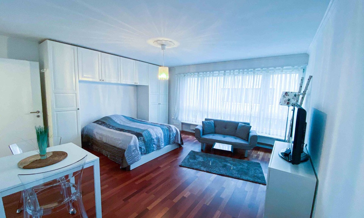 Allschwil Apartment | Hell und Geräumig Direkt bei Basel