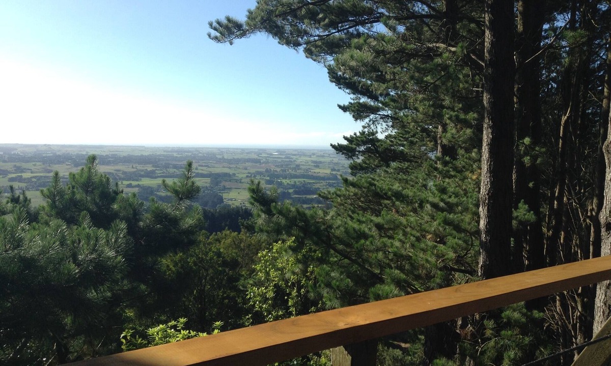 Koputaroa Cabin | Hermits' Hideawayn - A rustic, off grid cabin in the woods