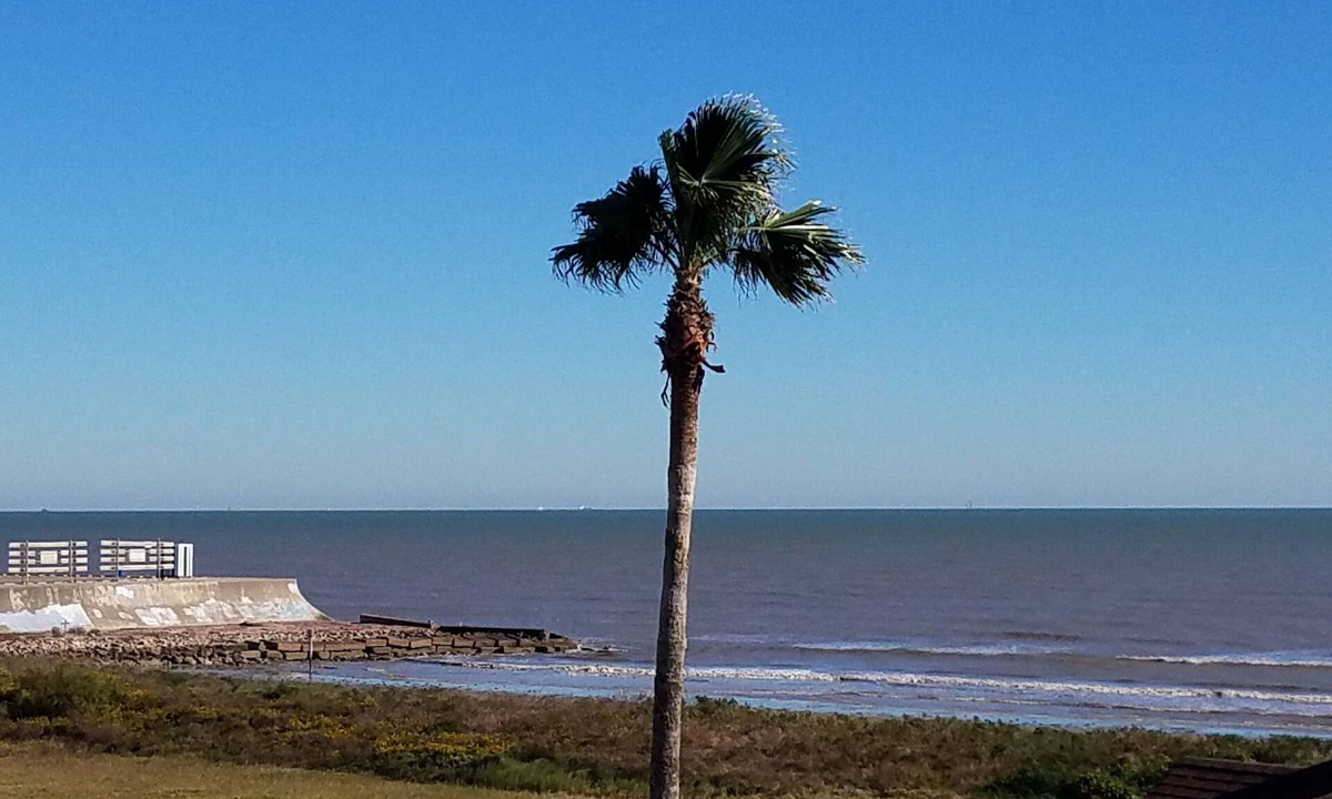 Galveston Condo | "Hermosita": Contemporary Seascape Beachfront Condo