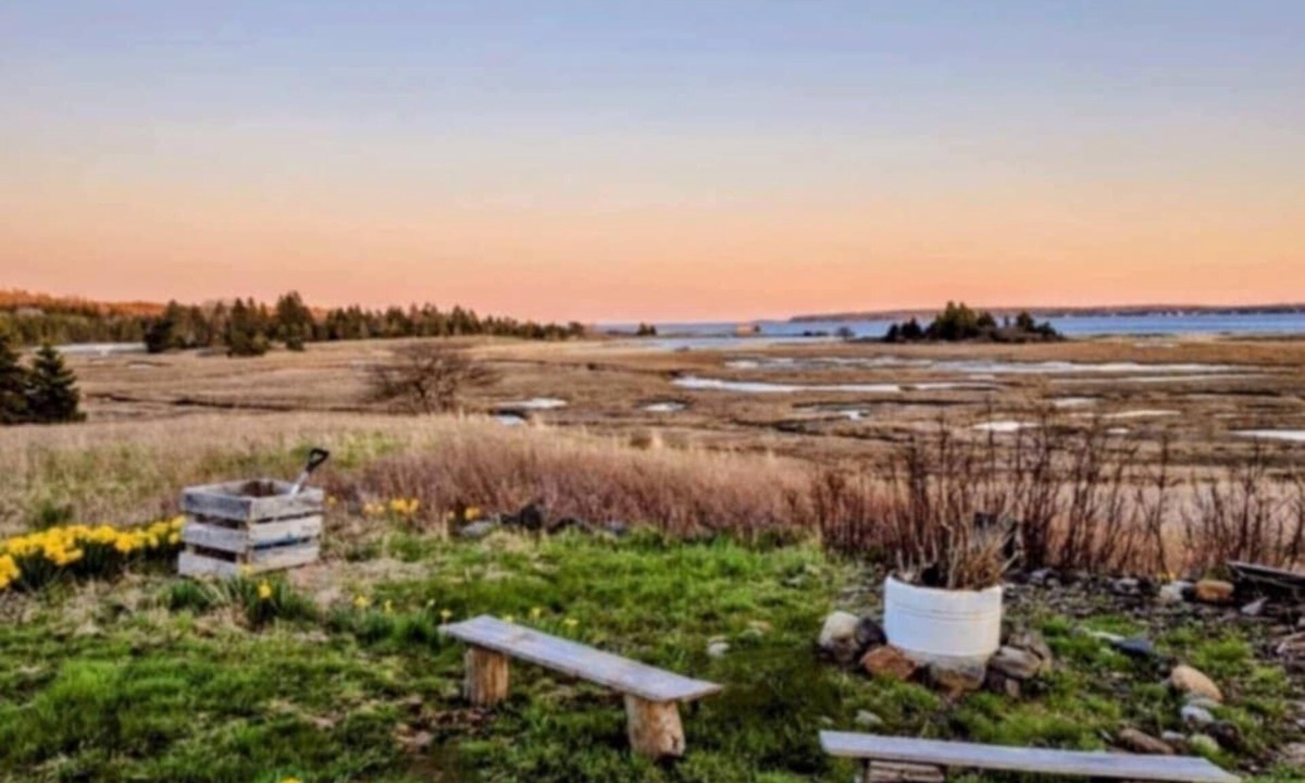 Garden Lots House | Herons, deer and ocean views! Only 2 kms from downtown Lunenburg!