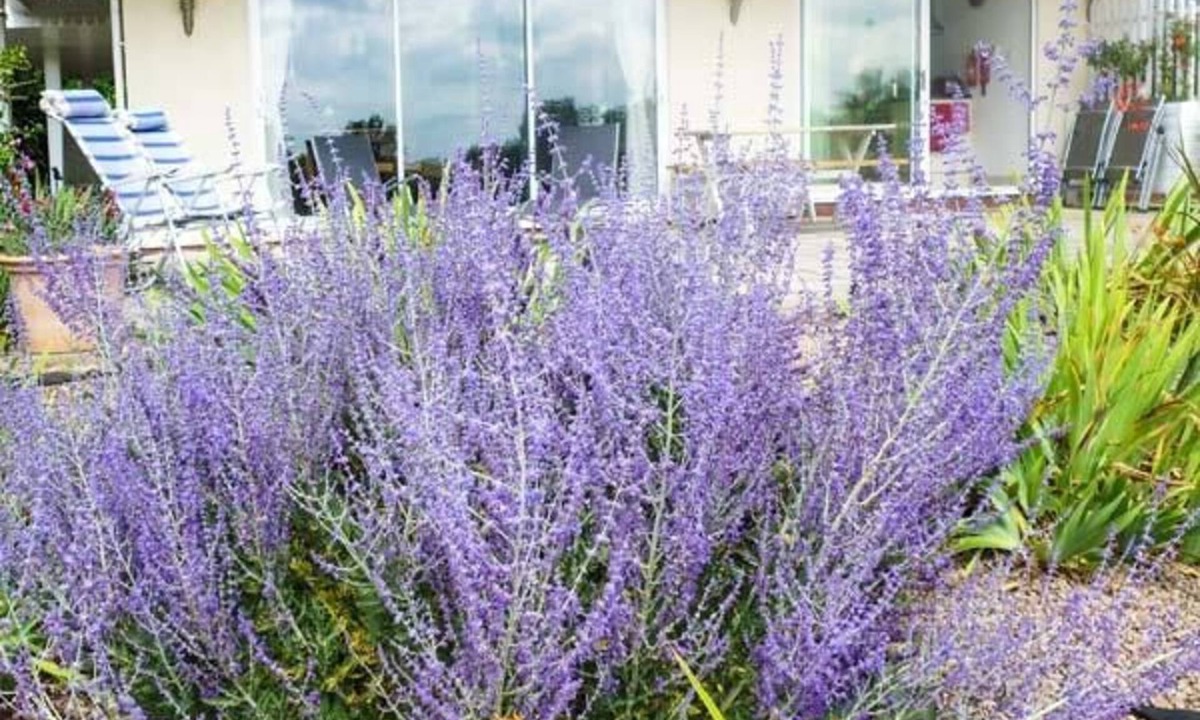 Byford Cottage | Herons