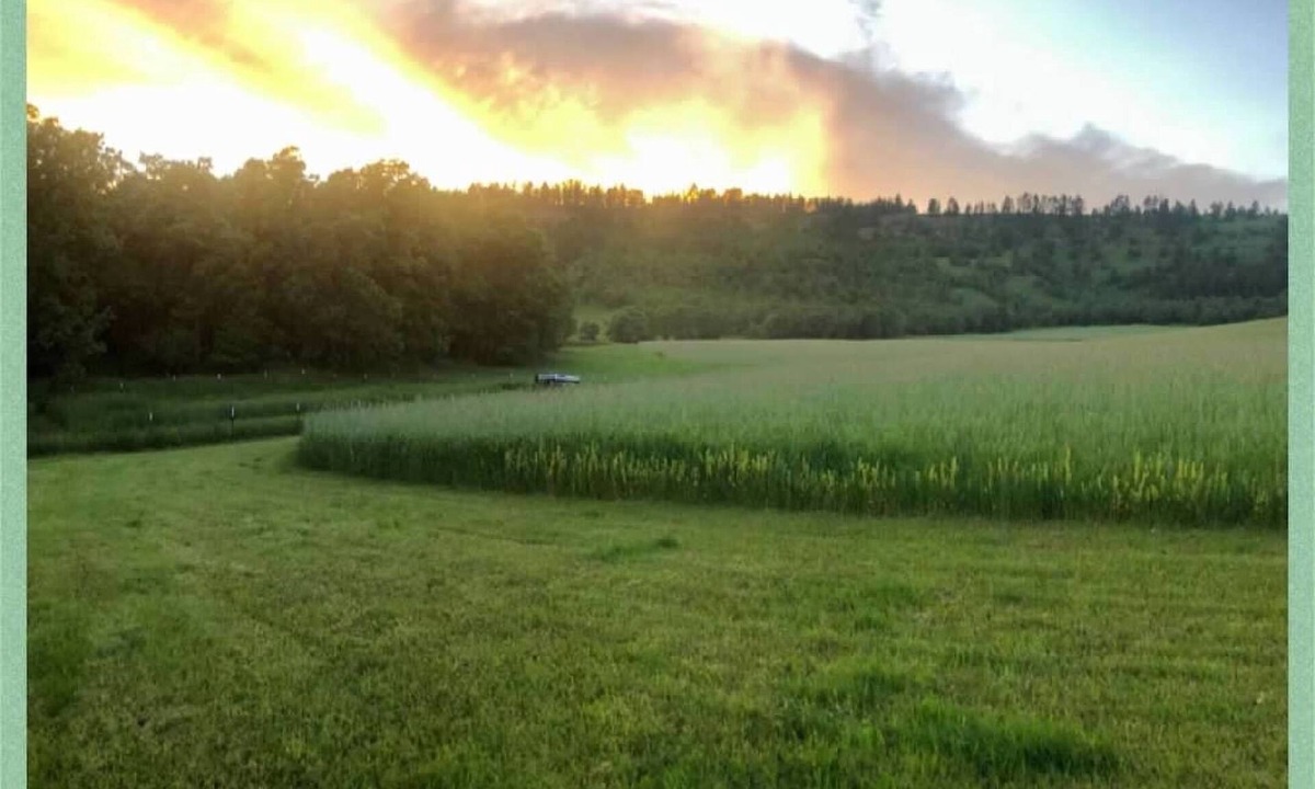 Crook County House | Hidden Acres - RV Rental