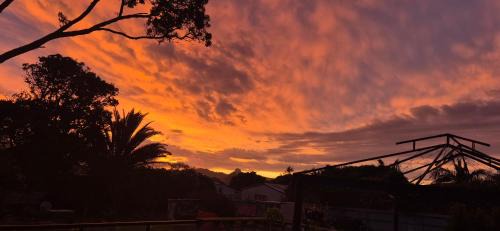 Te Kopuru House | Hidden gem cheap and affordable