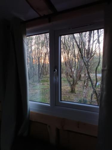 Criccieth Other | Hideaway Glamping cabin- Caban cudd