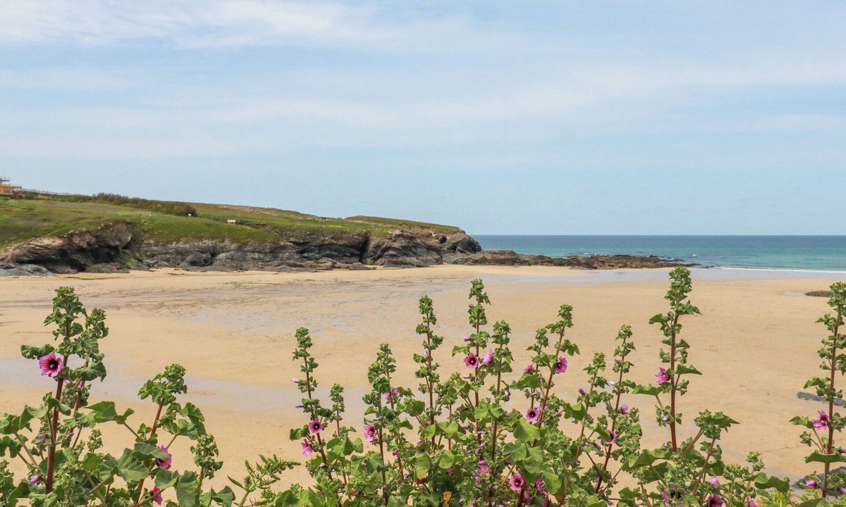 Treator Cottage | High Cove