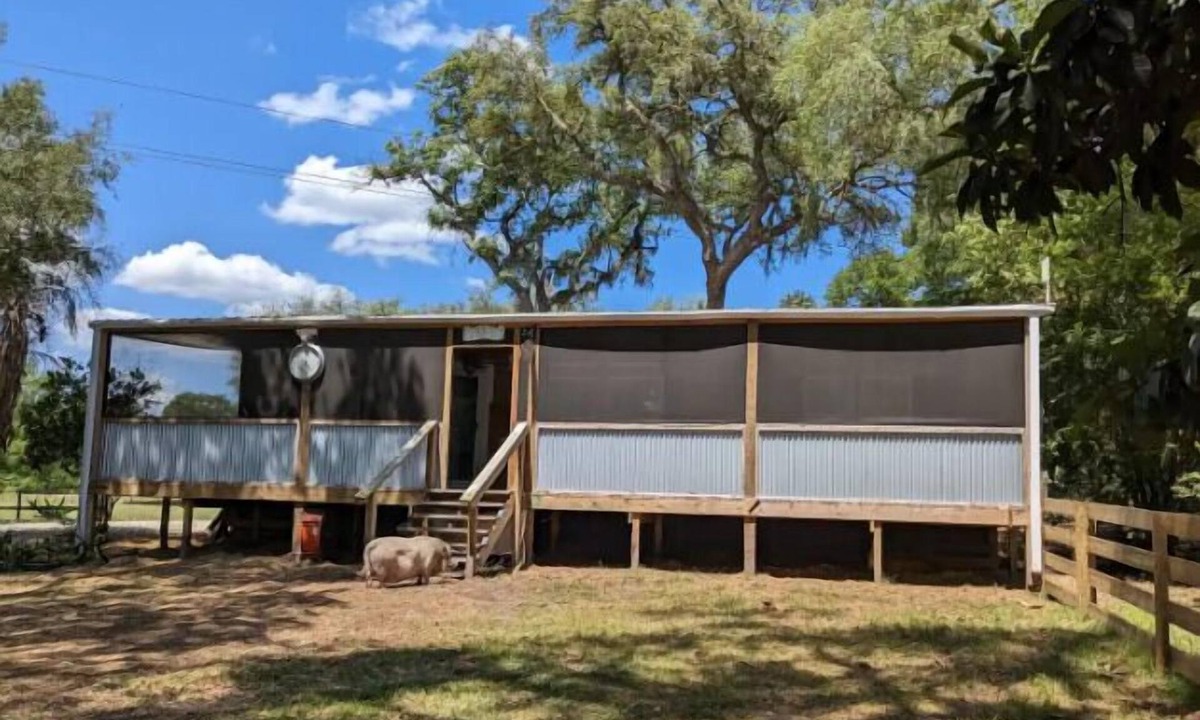Putnam Hall Other | Highland Cow Sanctuary Farmhouse Stay