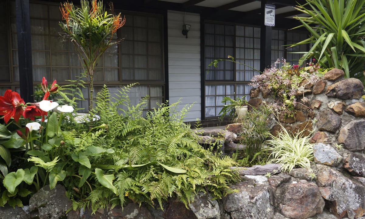 Taree Hotel | Highway Motor Inn