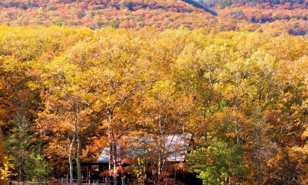Saugerties Cabin | Hike In Hike Out Mountain Cabin