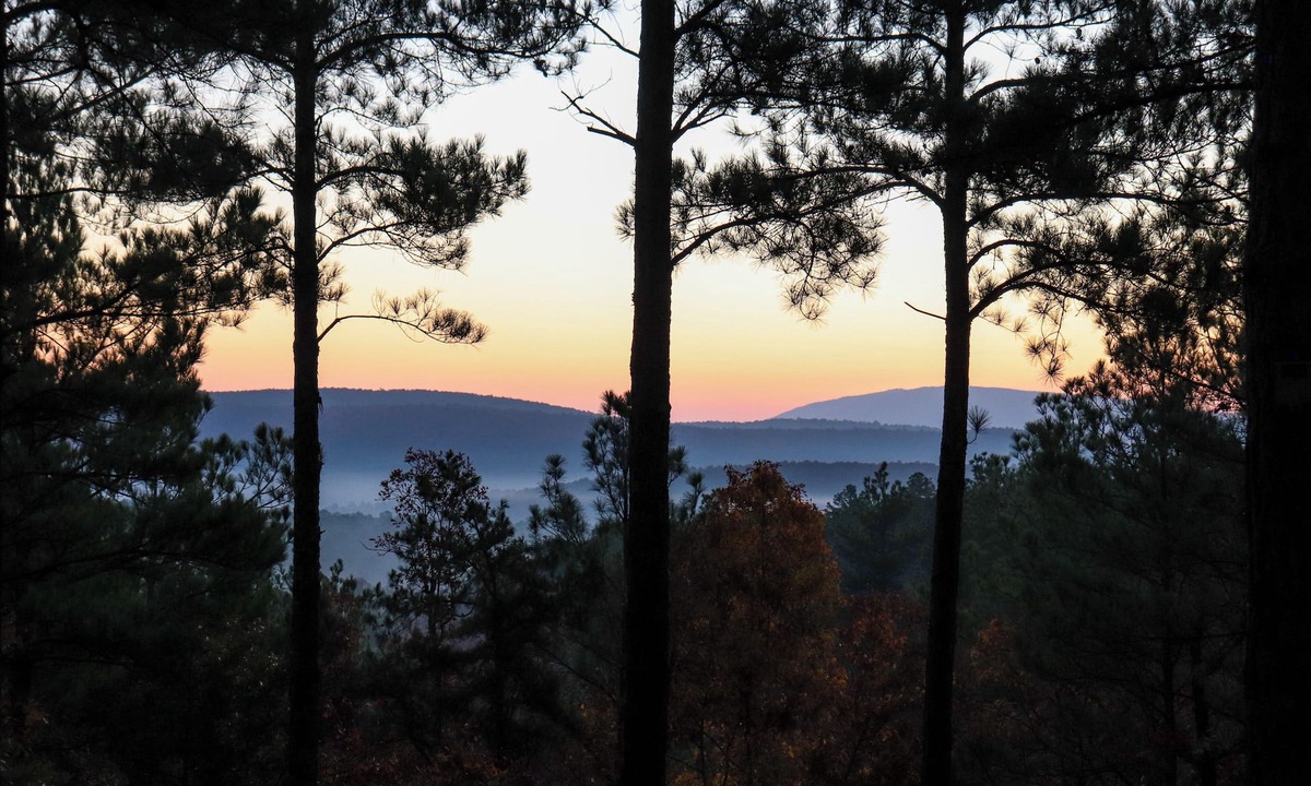 Summerfield Cabin | Hike the Ouachitas! Remote Mtn Hideaway w/Trails