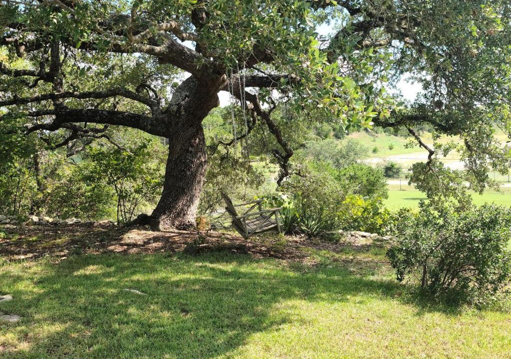 Spring Branch House | Hill Country Haute n Haus Relax and Renew
