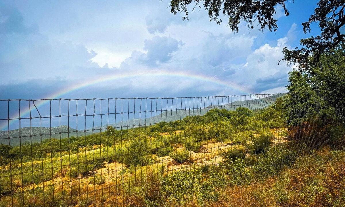 Camp Wood House | Hill Country Nueces River Property