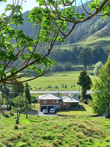 Uruti House | Hill top view farm stay