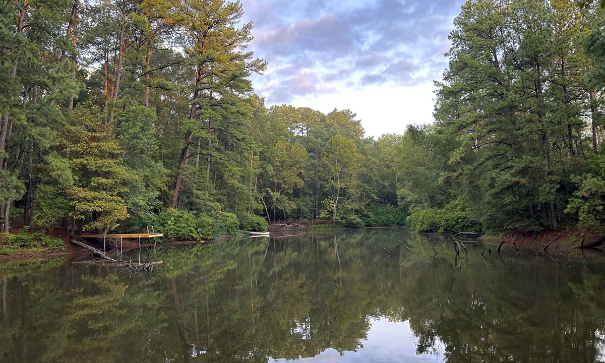 Oakhurst Cabin | Hilltop Cabin on 33 Secluded Acres with Private Pond & Trails