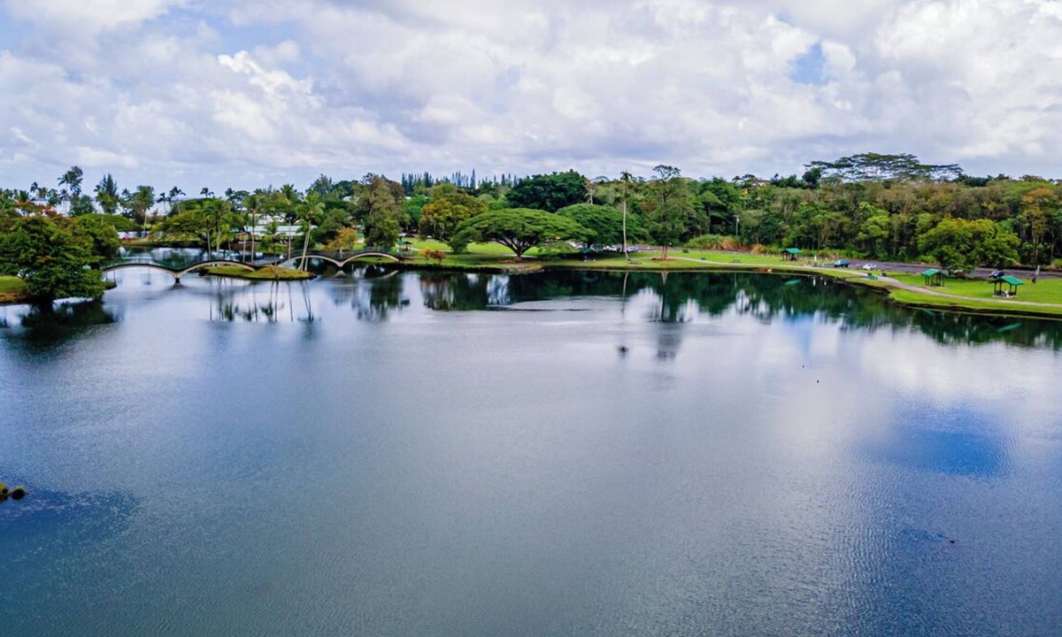 Hilo Condo | Hilo Lagoon Centre 814 2 King BR 2BA AC Ocean View