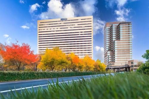 Downtown Hotel | Hilton Lexington Downtown