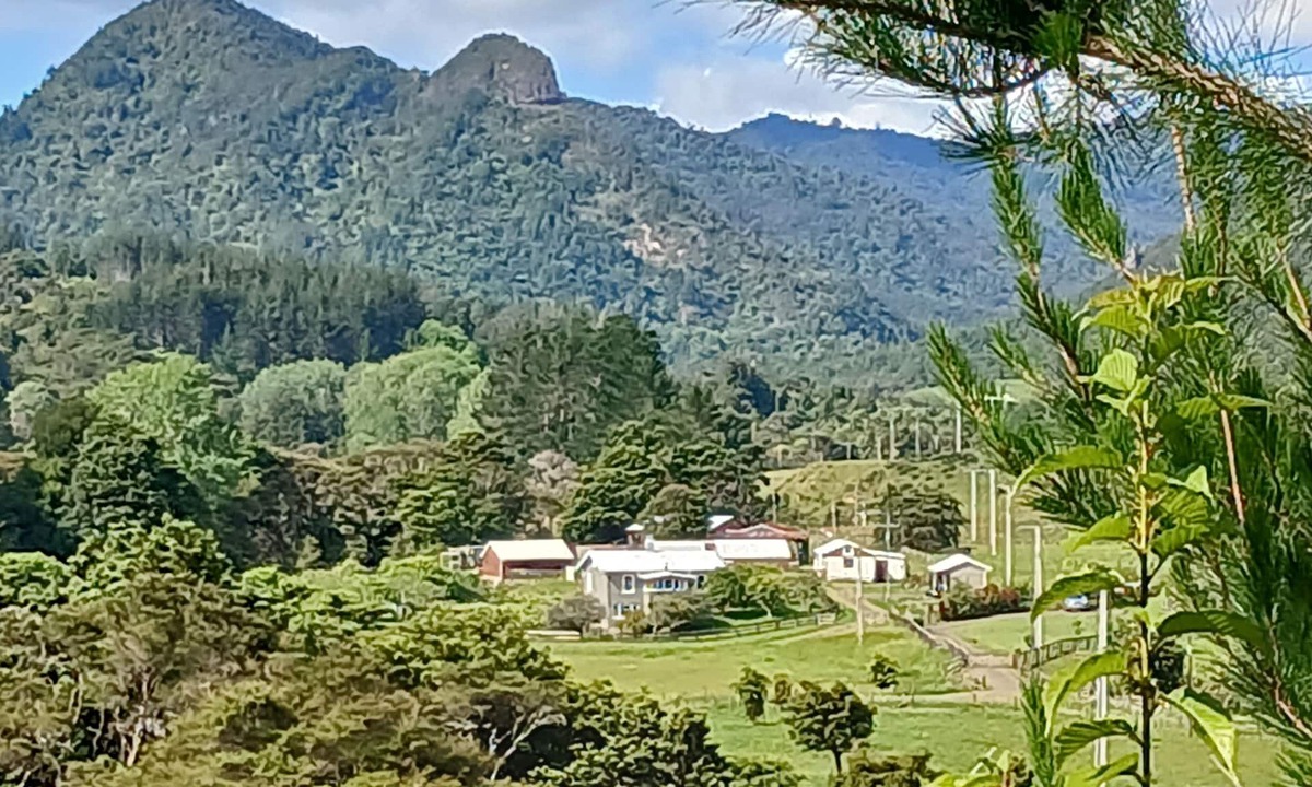 Coromandel Forest Park Other | Historic Devcich Farm - Homestead