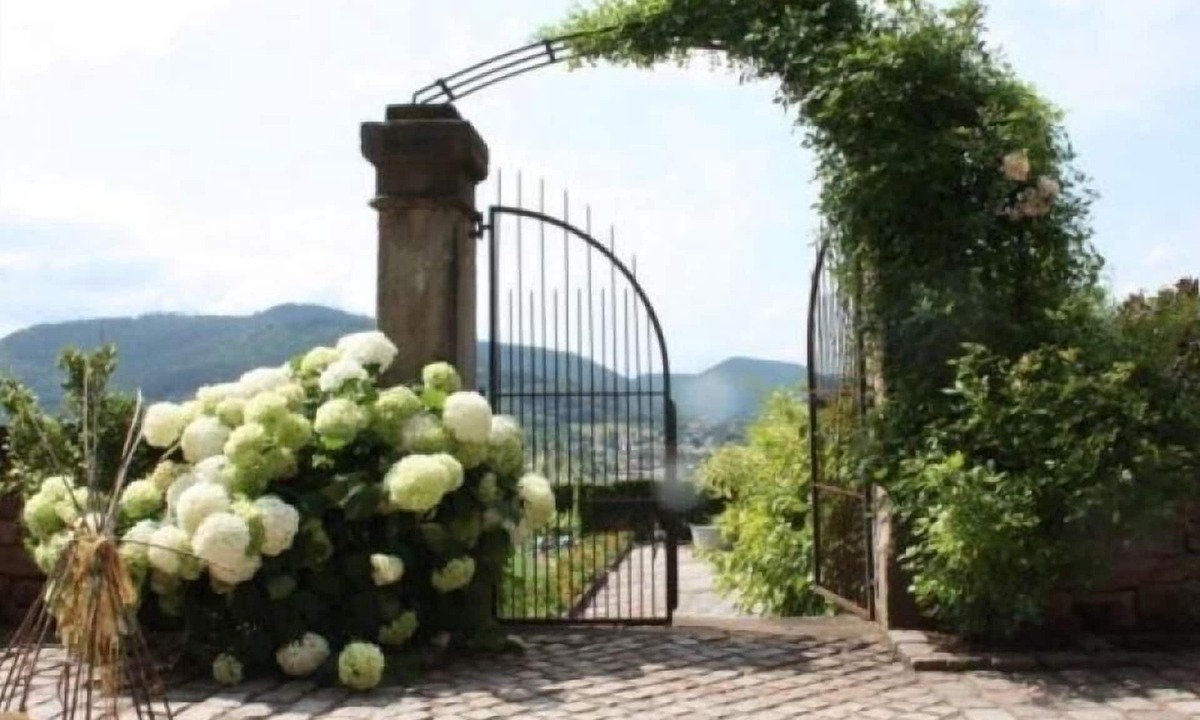 Saint-Die Cottage | Historic Gîte with Forest Views, Near Alsace, Perfect for Couples