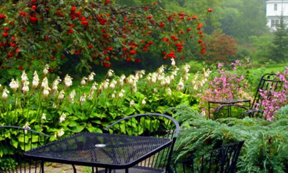 Historic Old Town Bed & Breakfast | Historic Lyons House