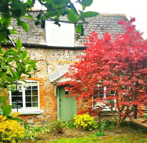 Shrewton House | Historic, traditional & Spacious Wiltshire Cottage