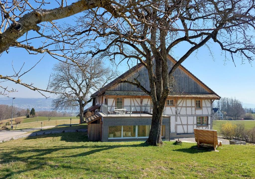 Horgen District House | Historisches Doppel - Riegelbauernhaus