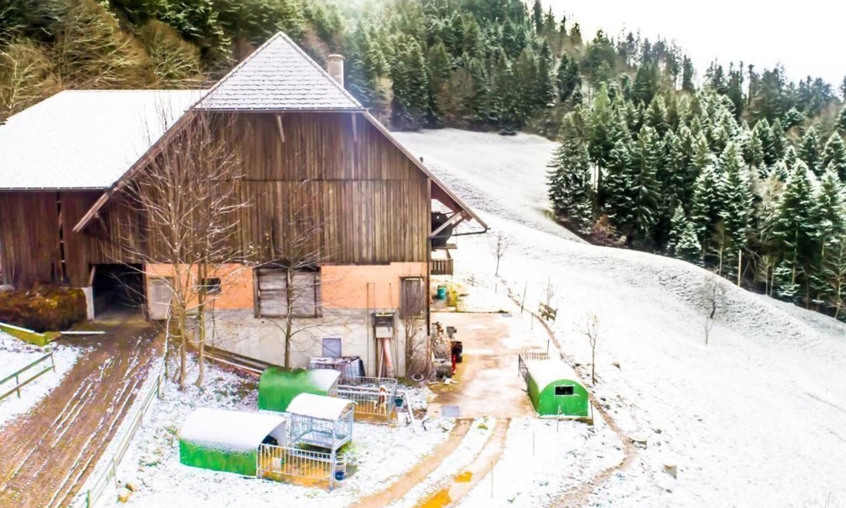 Langnau Im Emmental Apartment | Hof Cholere