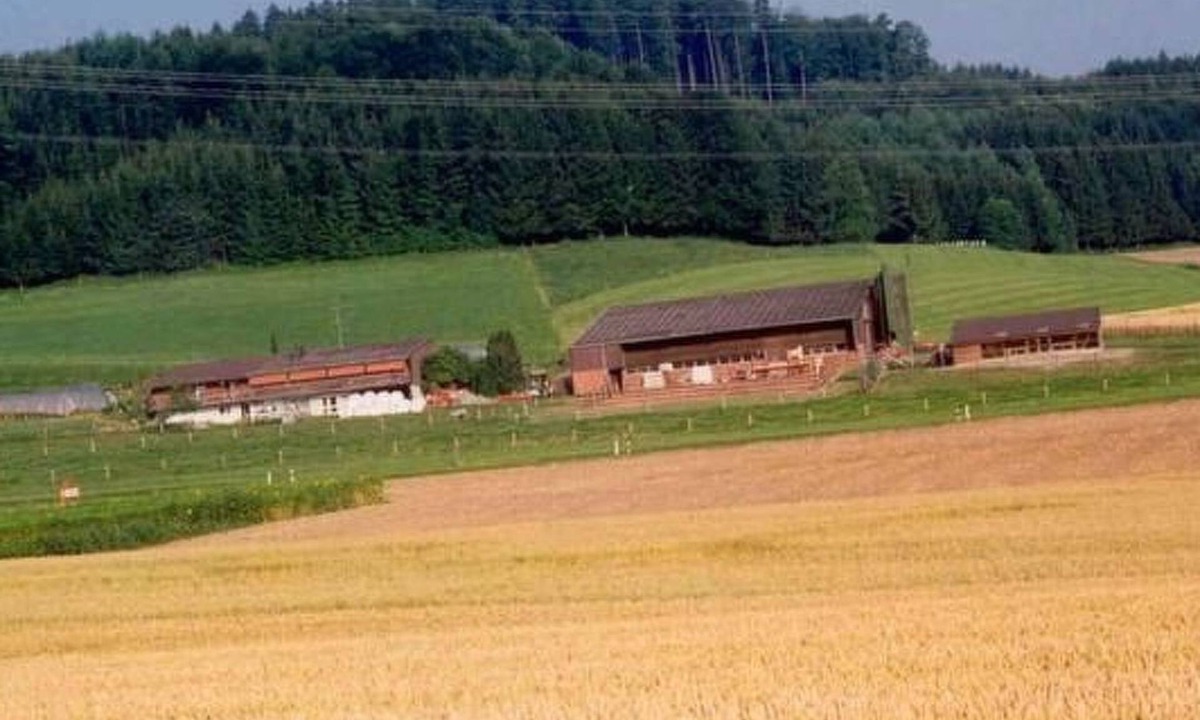 Dietikon District Apartment | Hof Eggweid by Interhome