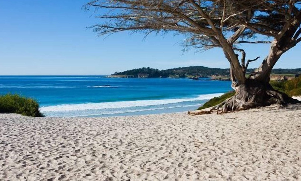 Northwest Carmel Hotel | Hofsas House Hotel