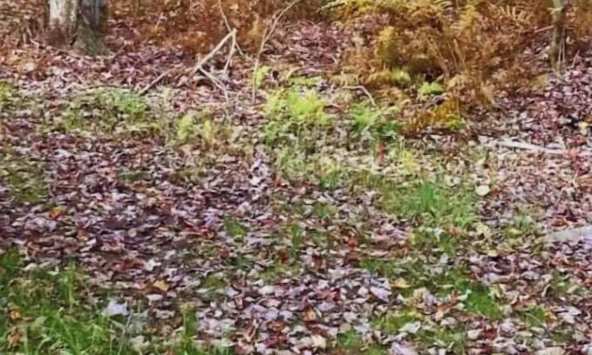 Town of Colchester RV Rental | Hole in the Wall-Bring Own Tent