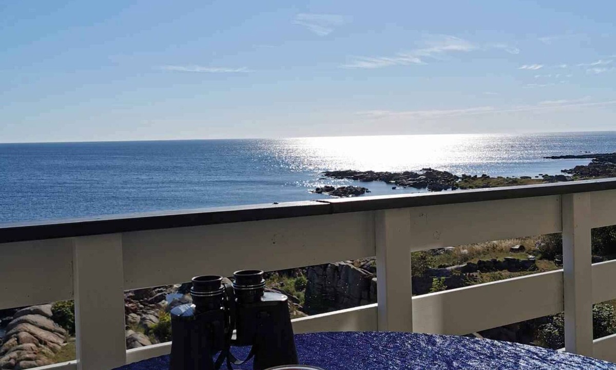 Sandvig Apartment | Holiday apartment with sea view on the cliffs