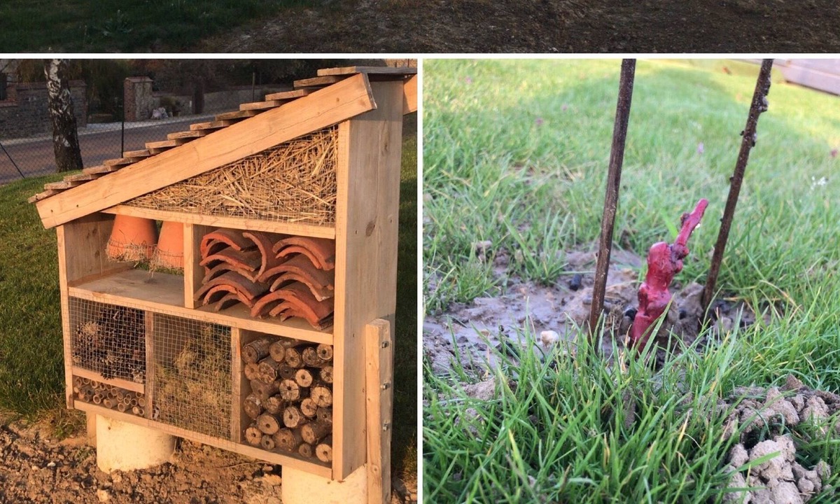 Magnant House | HOLIDAY COTTAGE 4 PERSONS