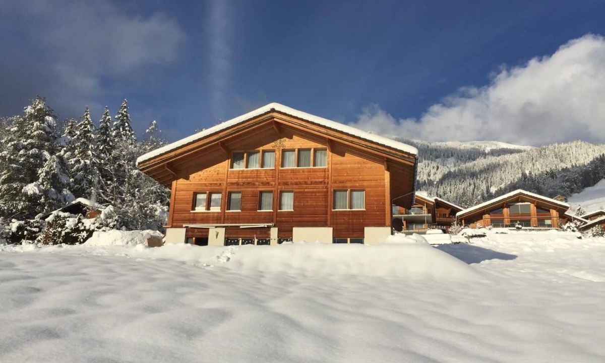 Hohfluh Apartment | Holiday flat with mountain view