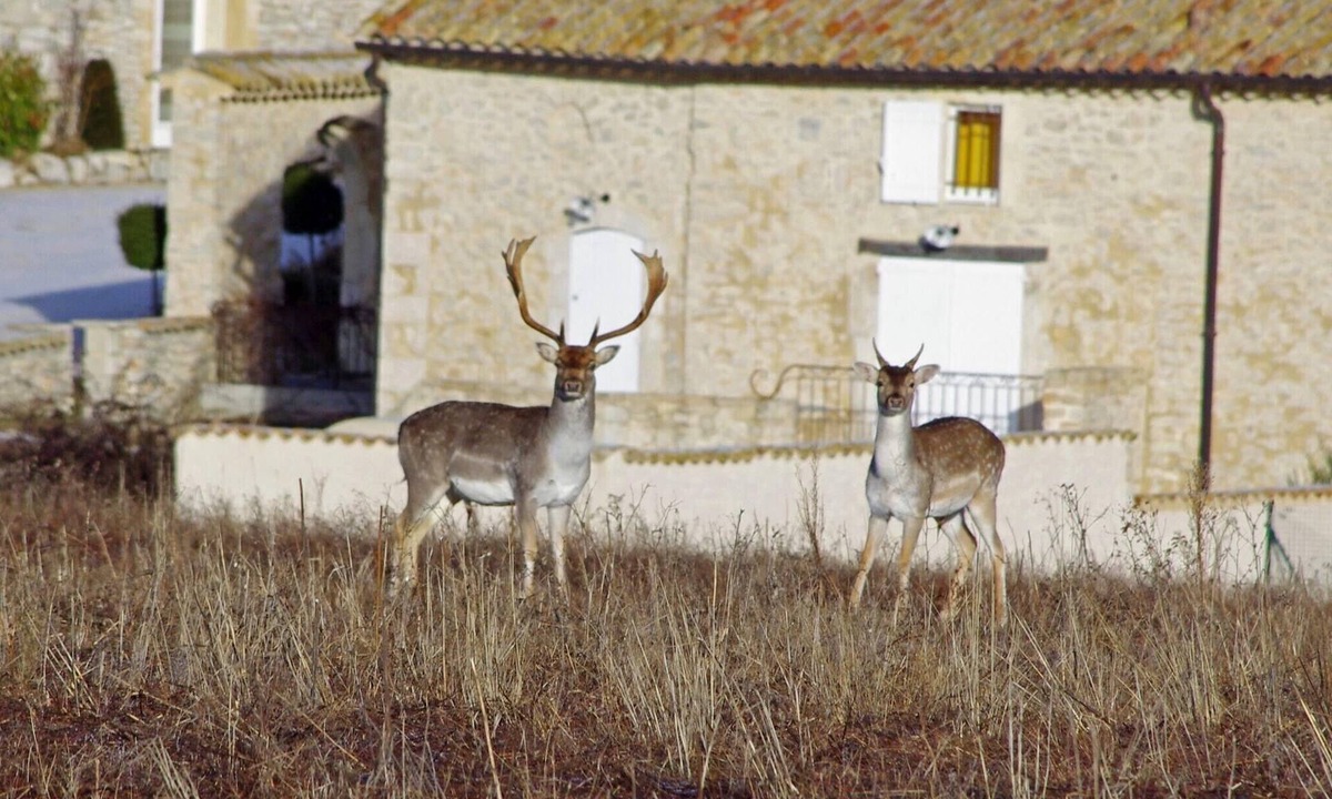 Redortiers House | Holiday Home 'Bastide De Marius' with Shared Pool, Shared Terrace and Wi-Fi