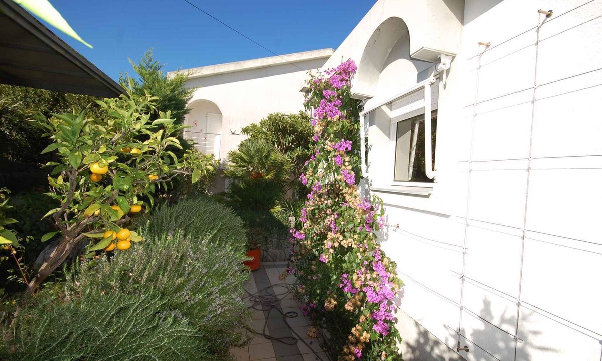 Vantacici House | Holiday home by the sea