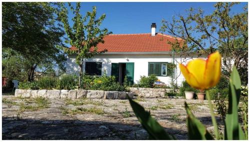 Drnis House | Holiday home "Kike & Mara"
