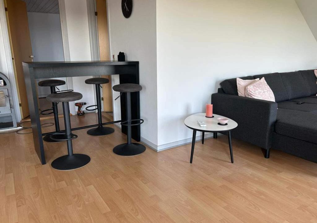 Sonderho House | Holiday home Ribe V