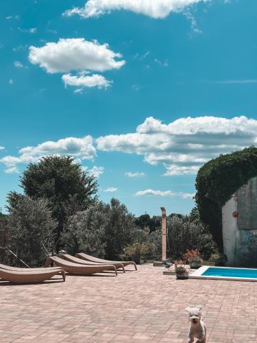 Sopot House | Holiday Home Sofia - quiet village&quick highway close to Biograd na Moru and Zadar