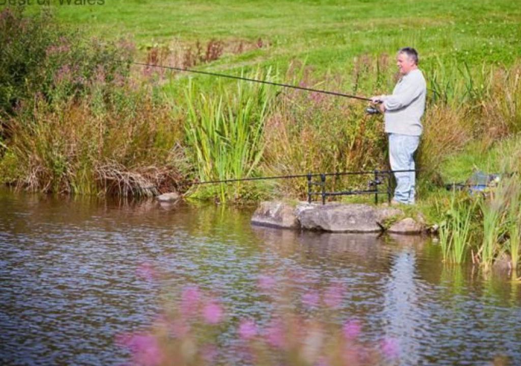 Llanddewi Brefi House | Holiday Home Winill by Interhome