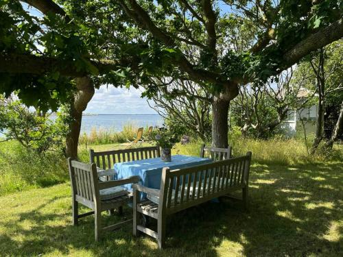 Martofte House | Holiday Home With Soul A Few Steps From The Water