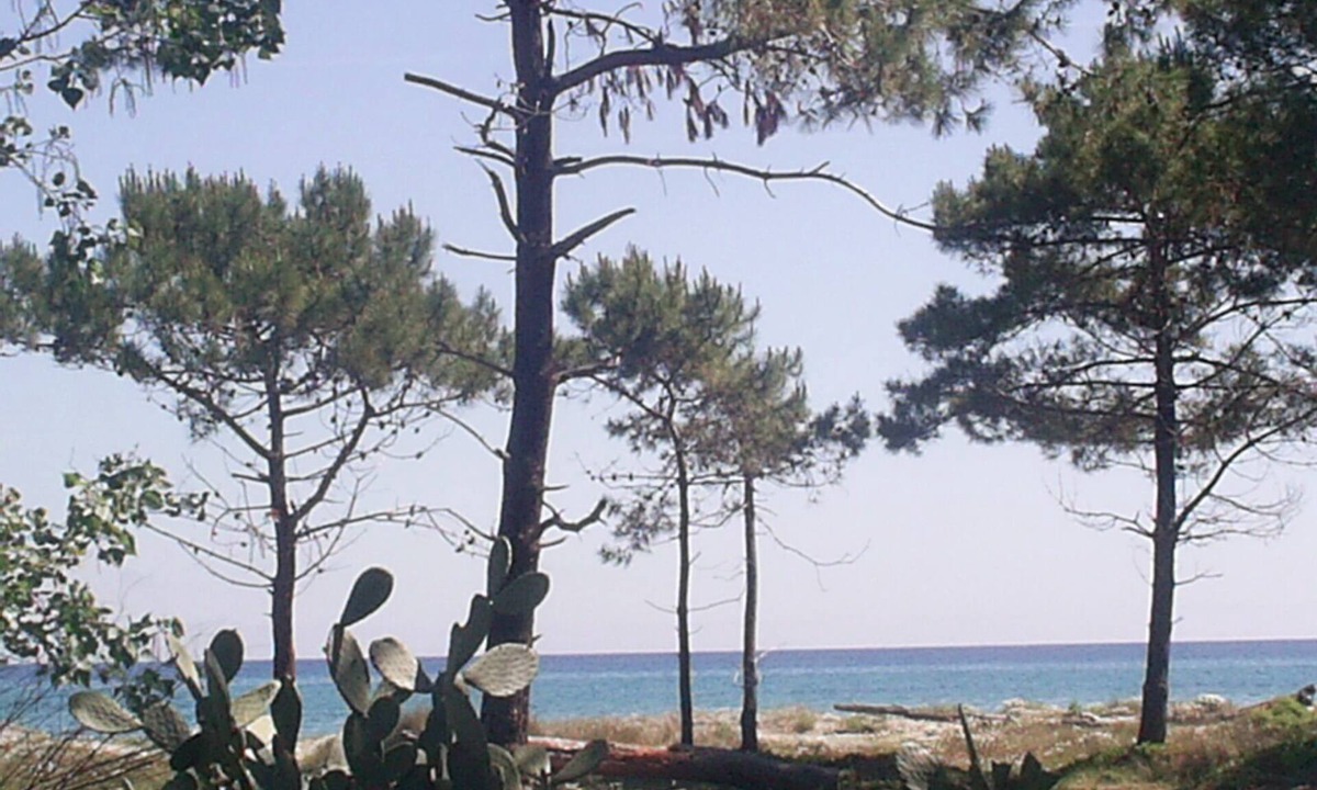 Pineto Apartment | HOLIDAY 'THE WATERFRONT'