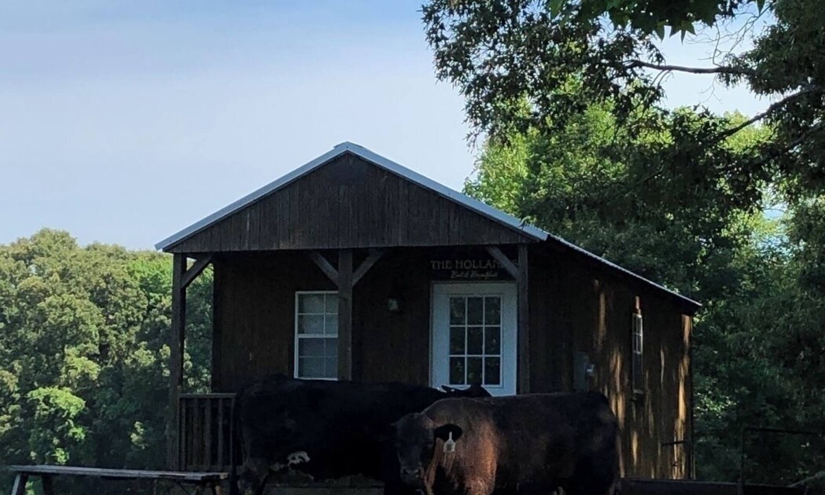 Minden Cabin | Holland Hill Cabin on a Pond