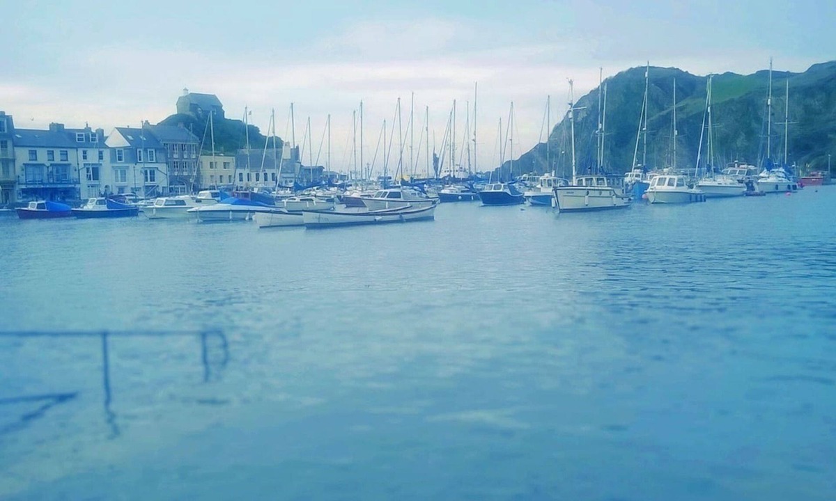 Hele House | Hollies and Ilfracombe Harbour View