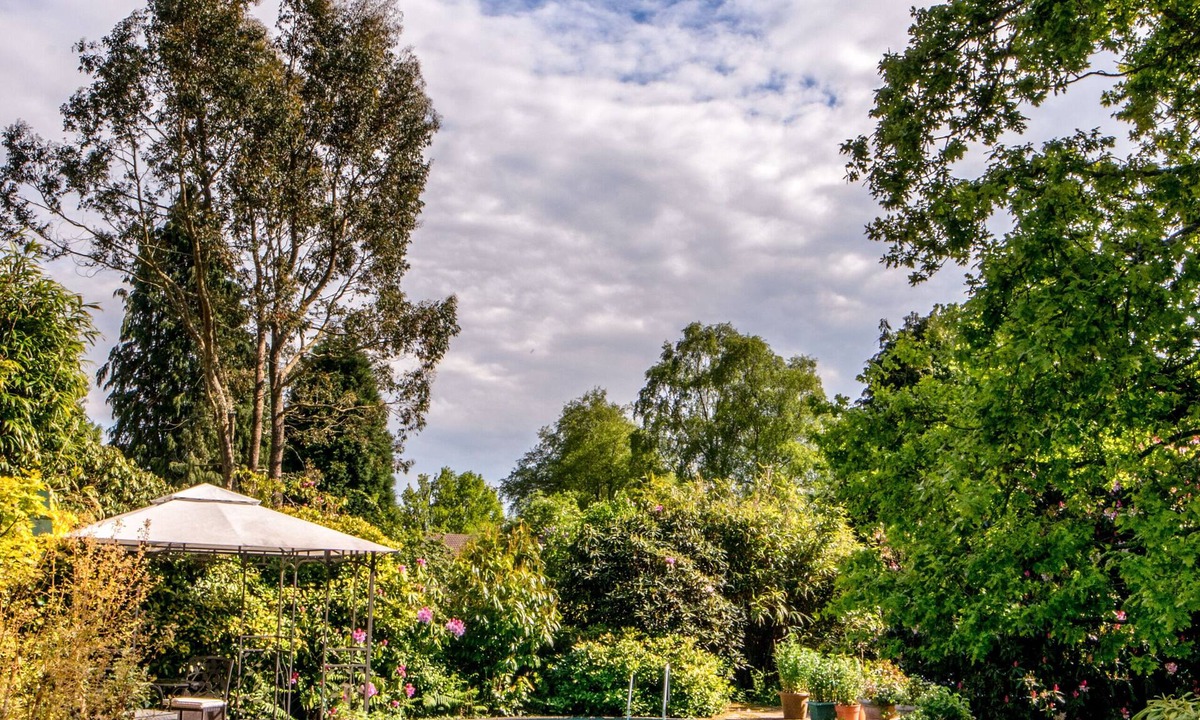 Sheffield Green Bed & Breakfast | Holly House