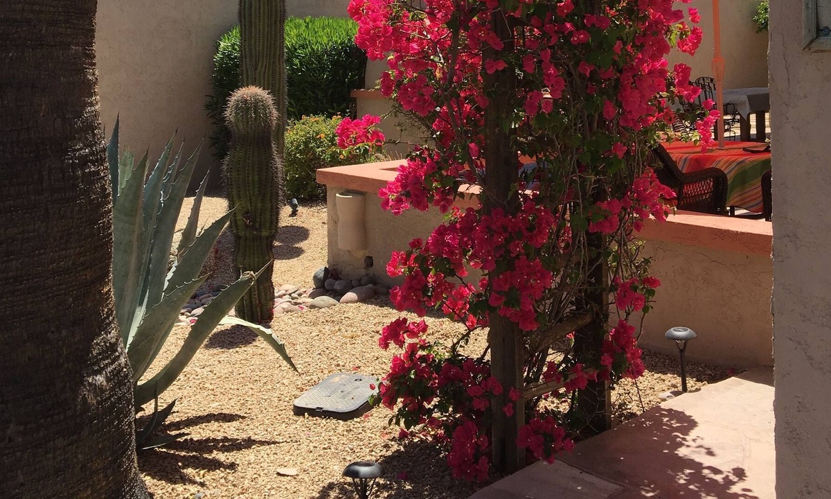 Rio Verde House | Home available for November and December
