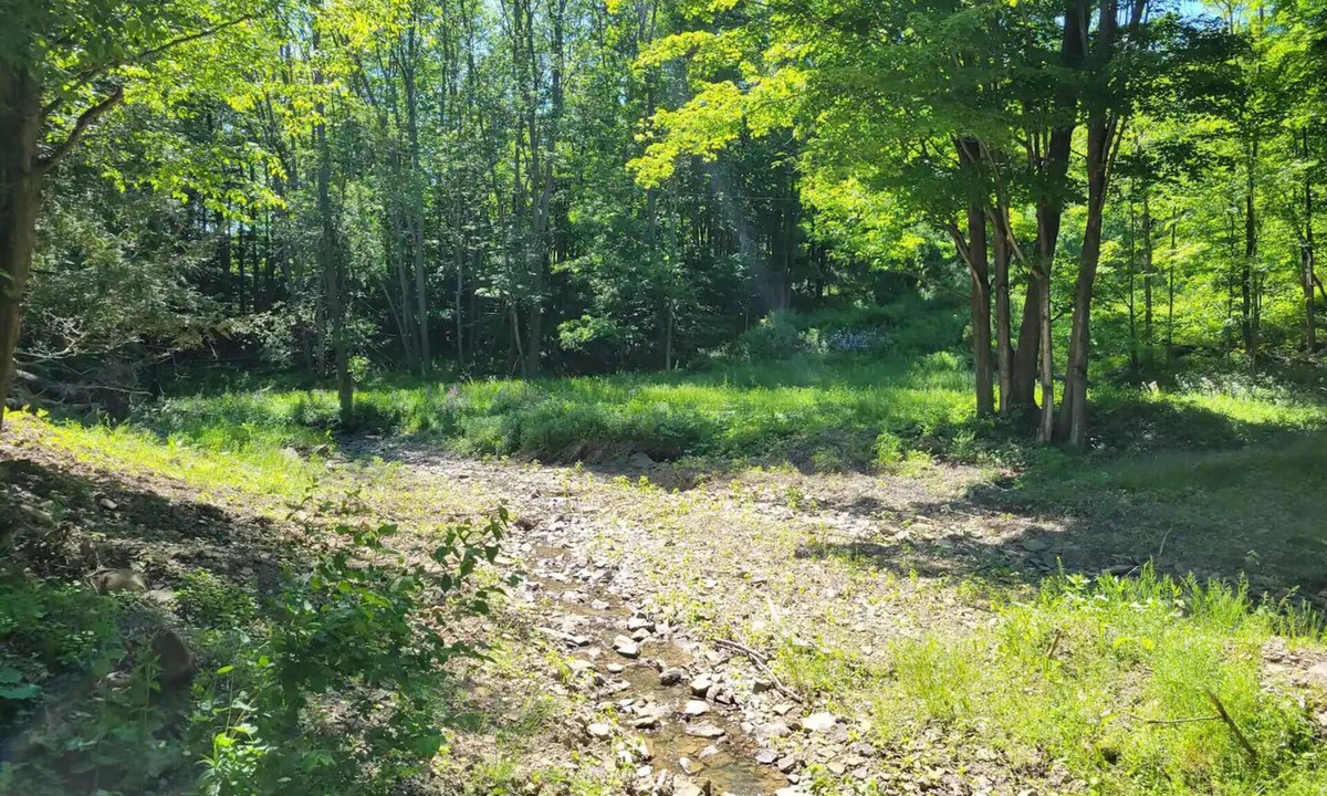 Westfield House | Home in the Woods