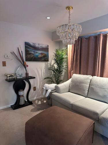 Ridley Park House | Home Stay